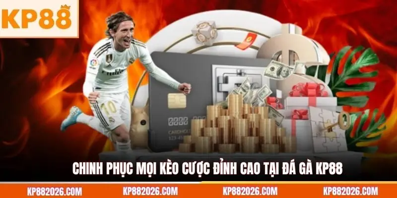 Chinh phục mọi kèo cược đỉnh cao tại Đá Gà KP88
